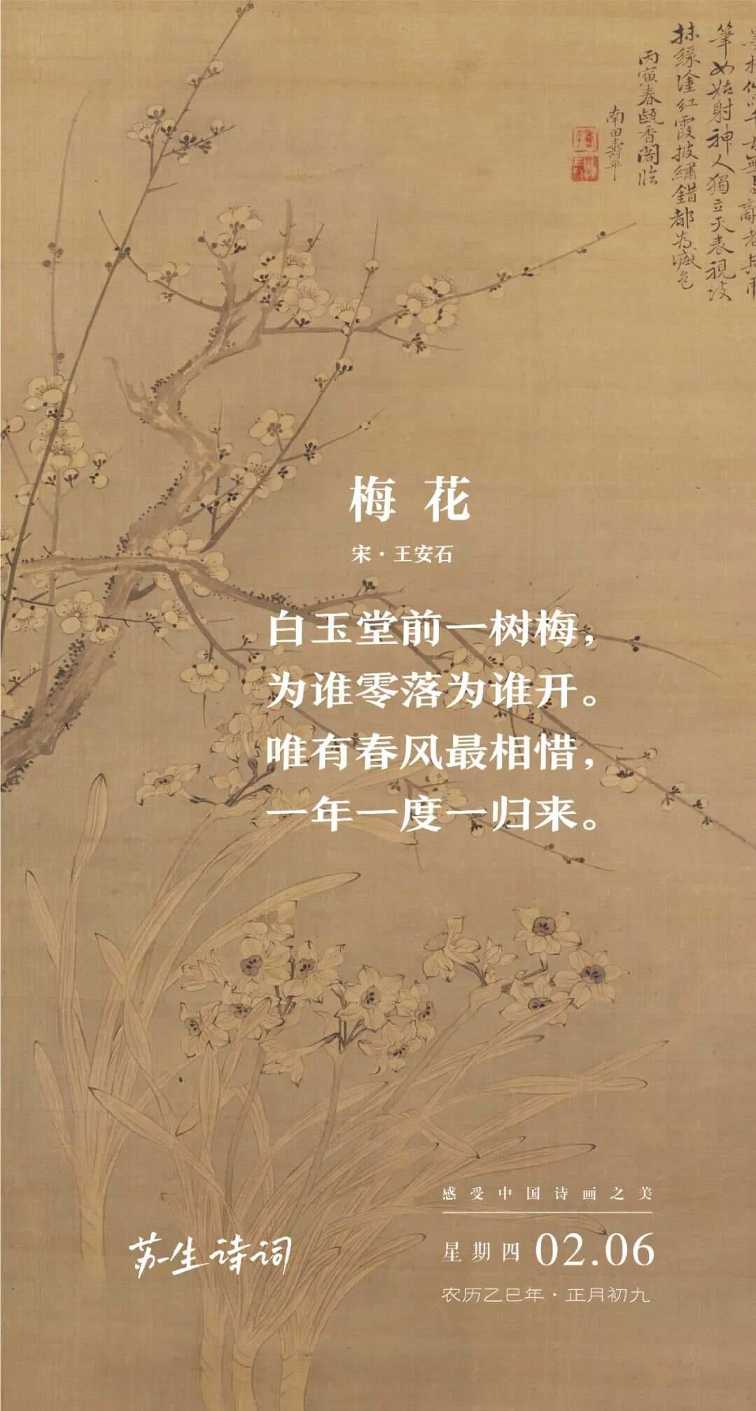 诗词日历丨02.06-王安石：唯有春风最相惜，一年一度一归来。