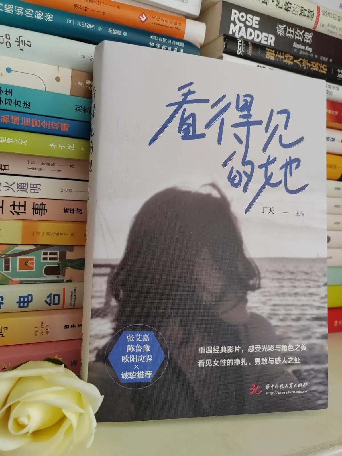 《看得见的她》：透析经典电影中的女性力量与成长之路