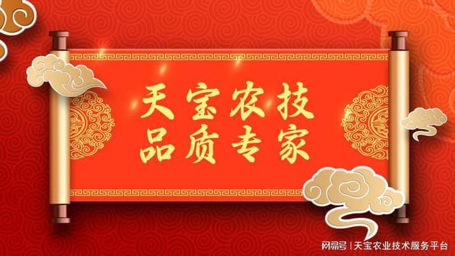 喷灌、滴灌、大水漫灌如何正确选择？帮你省下巨款！