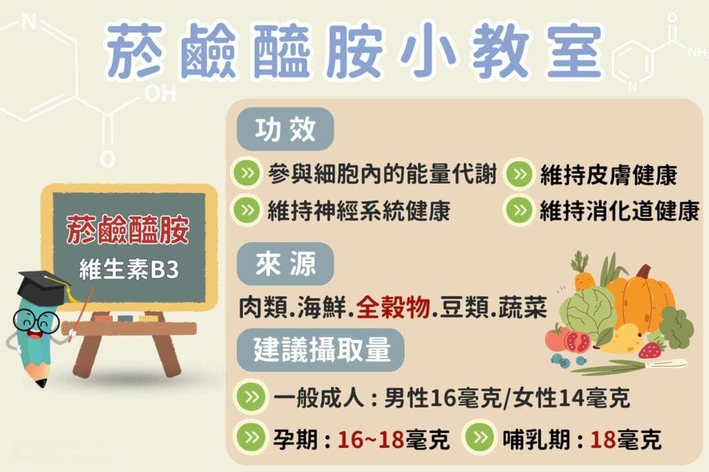 维生素B3（烟酰胺）的功效与作用：从皮肤健康到能量代谢