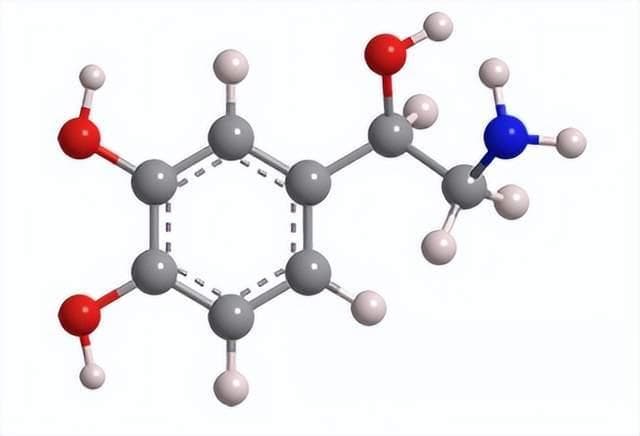 摩熵化学分子速递|去甲肾上腺素的全面解读