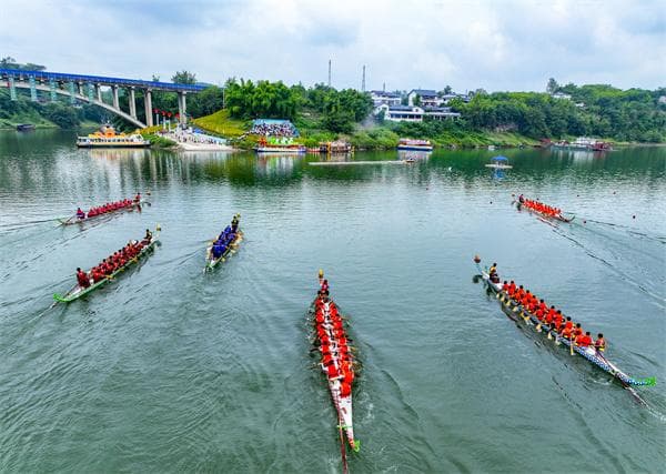 2024铜梁区安居古城端午非遗龙舟会即将开幕