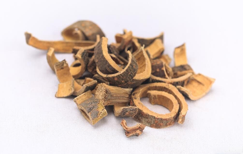 合欢皮的功效与应用