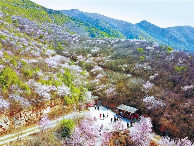千年古渠焕发新生机