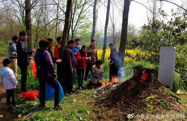双春闰年扫墓禁忌是真讲究还是老黄历？2025清明祭扫全解析