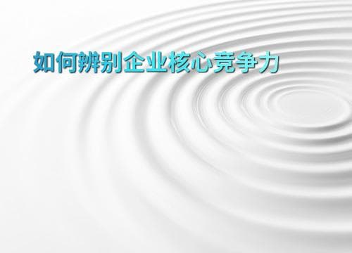 如何辨别企业核心竞争力