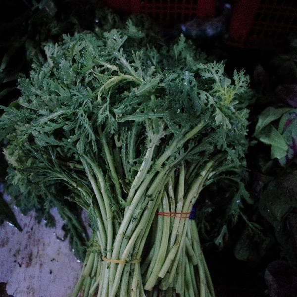 50道孩子喜欢吃的菜儿童菜肴
