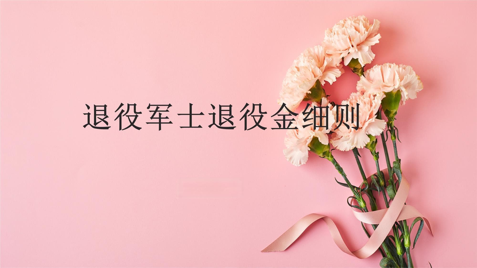 退役军士退役金细则