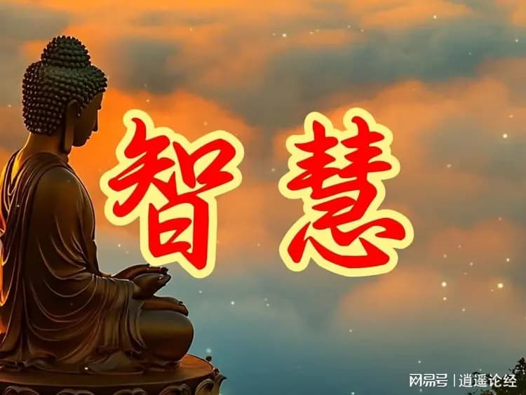 读书只会增长知识，只有领悟才会增长智慧！