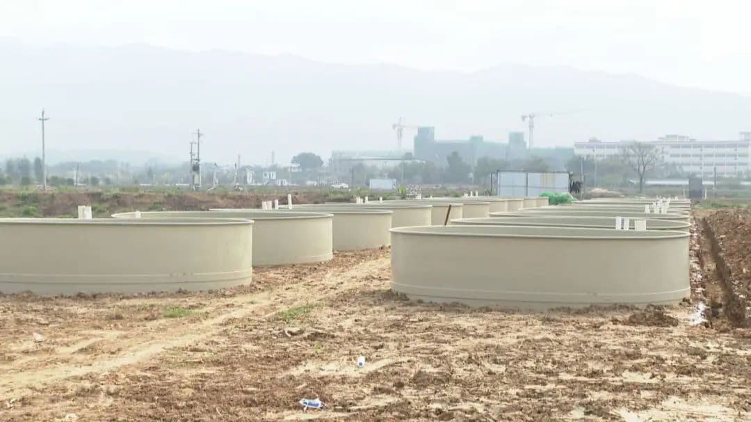 四会市迳口镇“工厂化养鱼”闯出致富新路