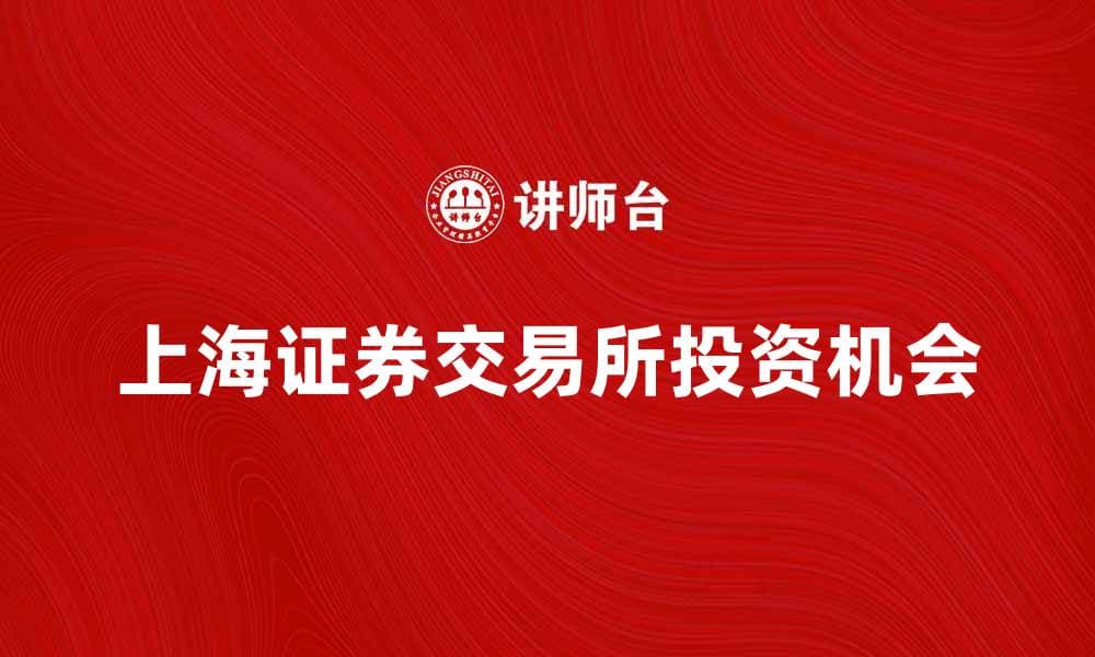 深度解析上海证券交易所的投资机会与市场趋势