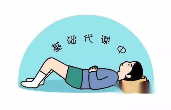 基础代谢率计算公式，基础代谢率的正常范围