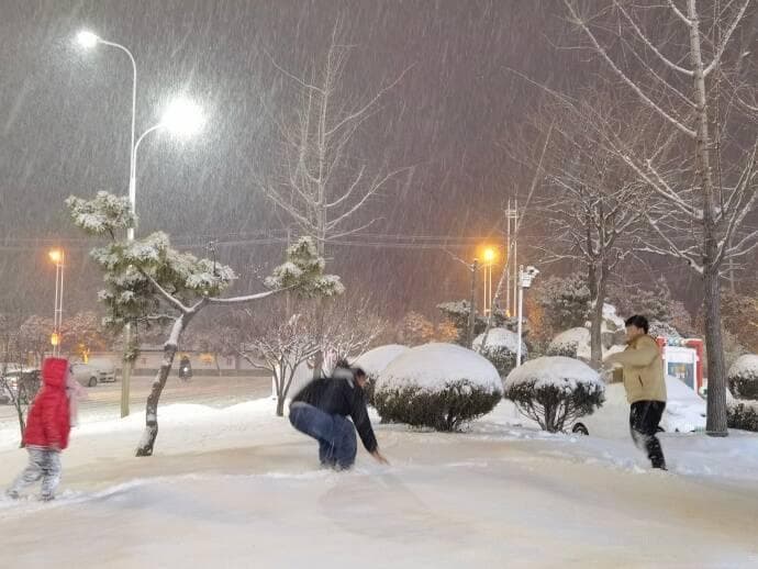 暴雪蓝色预警！山东多地交通受阻，最大积雪12厘米