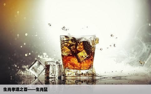 12生肖中孝道为先的动物是什么
