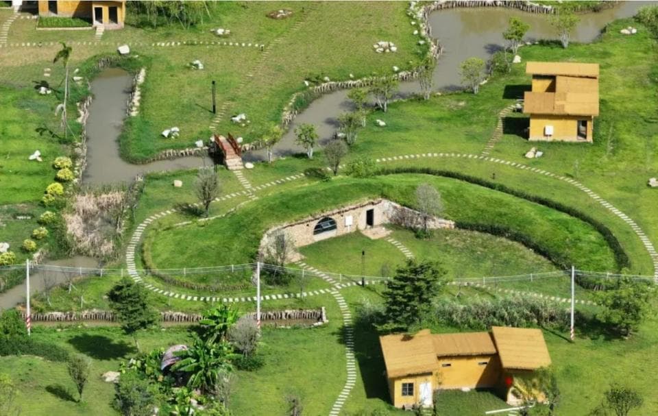 红色美丽乡村游系列：湿地观鸟学做香云纱，解锁南沙美丽乡村