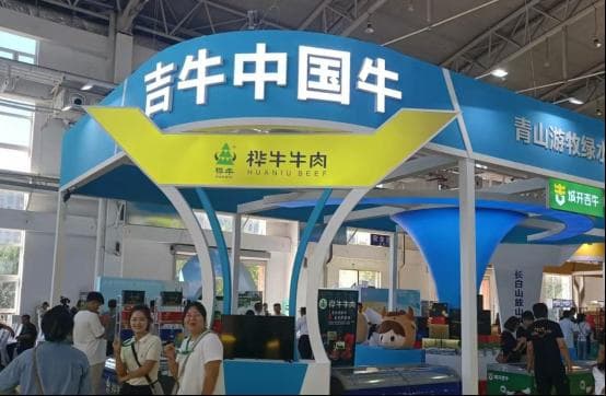 吉牛中国牛|肉牛全产业链发展 做强“牛”经济