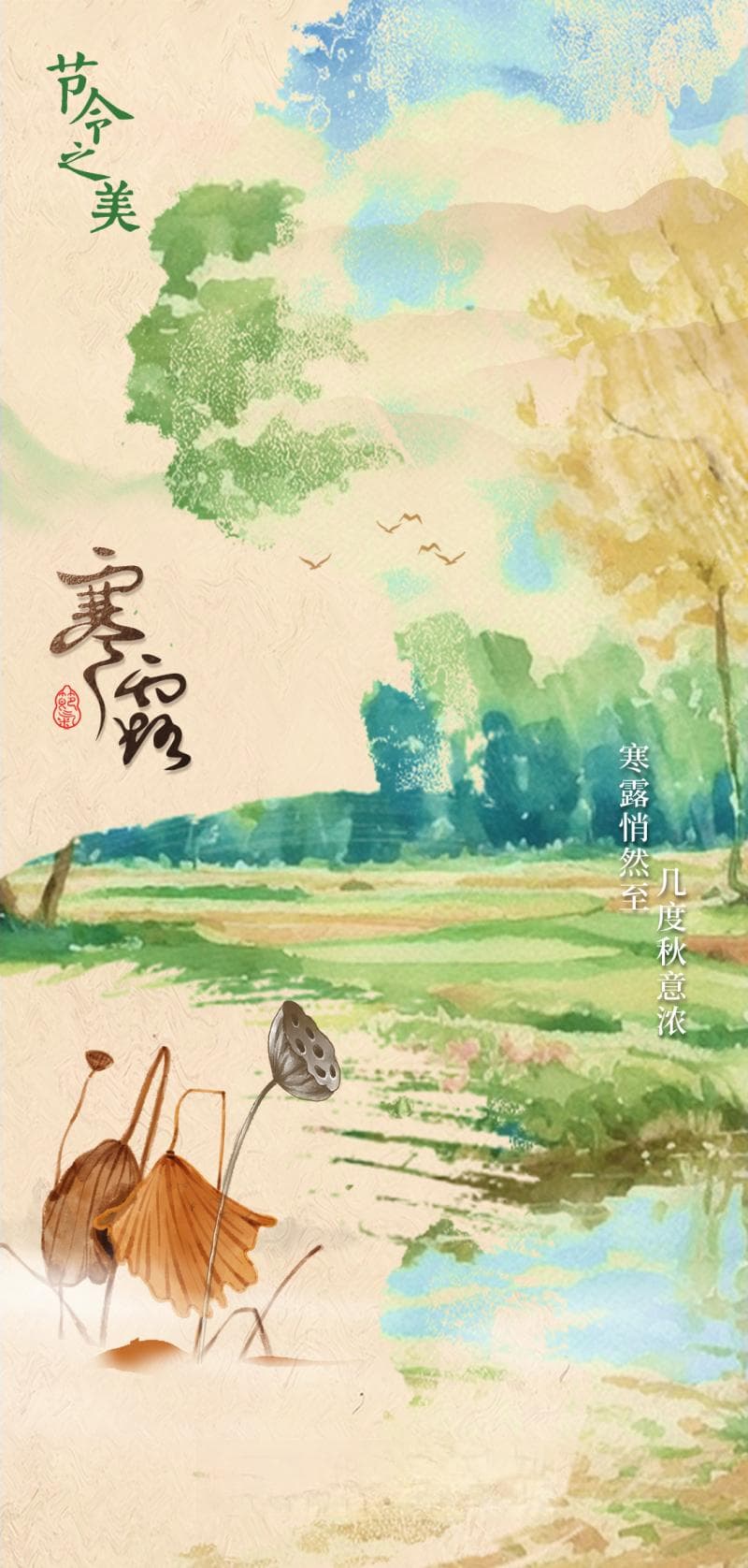 寒露：秋意渐浓，露凝为霜