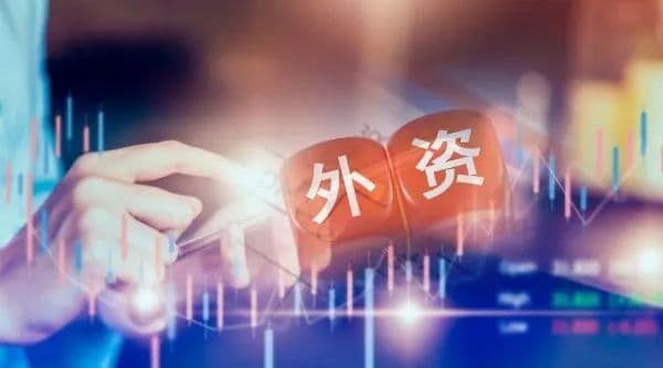 外资公募最新持仓曝光！贝莱德、富达第一大重仓都是它
