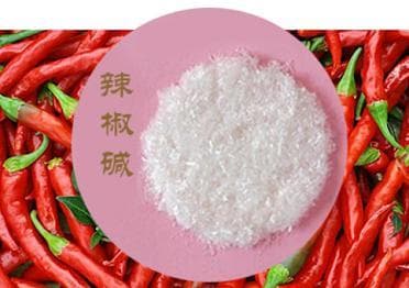 天然辣椒素：化学性质、应用与市场信息