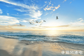 海洋波浪能发电：技术进步迅速，但商业化还需时日