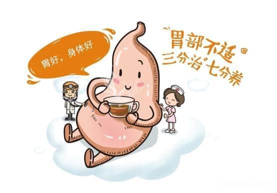 护胃饮食全攻略：科学养胃的12条黄金法则