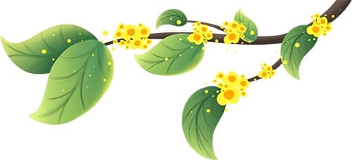 苏东坡的中秋诗词：从《水调歌头》到《念奴娇》
