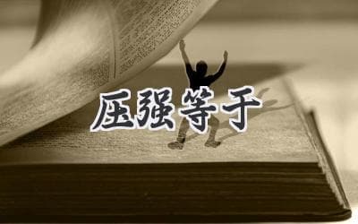 物体所受压力与受力面积的秘密：揭秘影响压强的关键因素