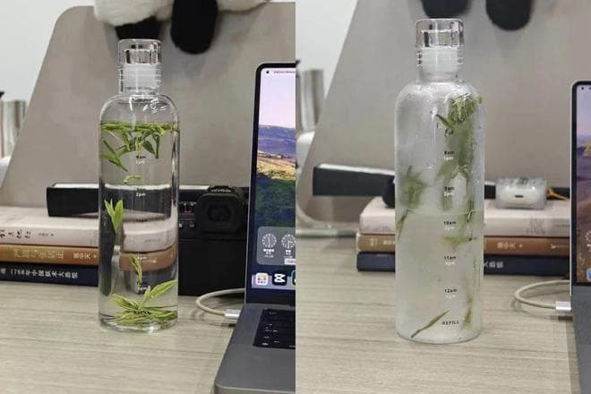 冷泡茶泡多久口感最好？看完别再乱泡了！