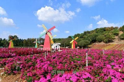 腾冲十大旅游景点