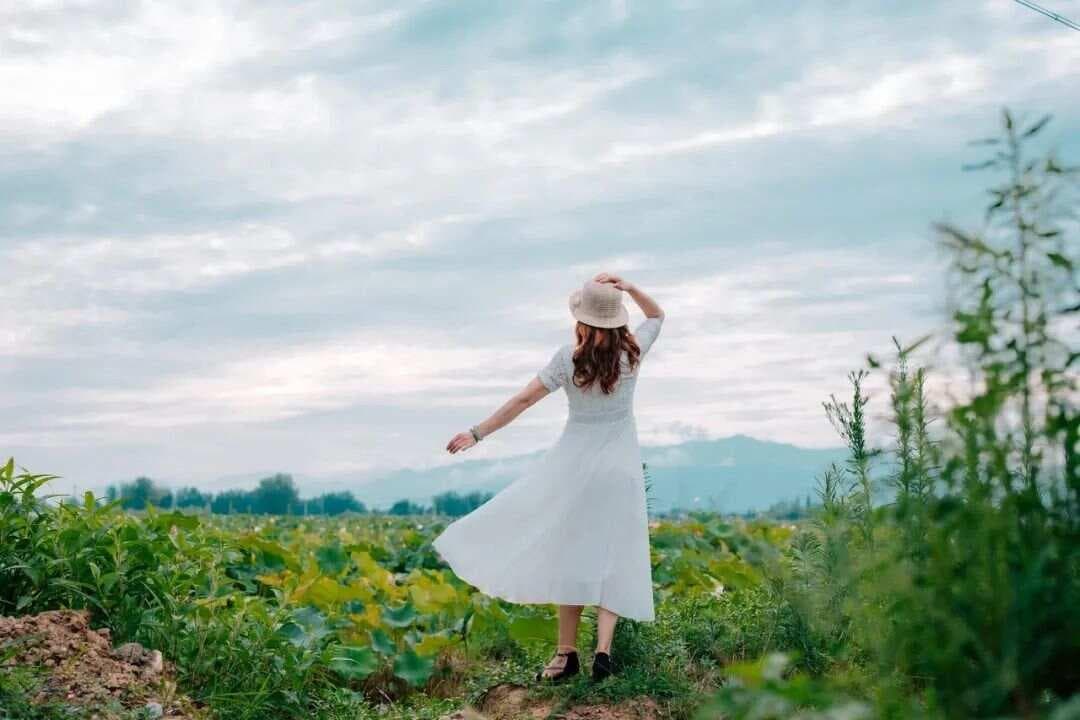 没特长的你，一定要死磕这5本书，教你半年内成为专家