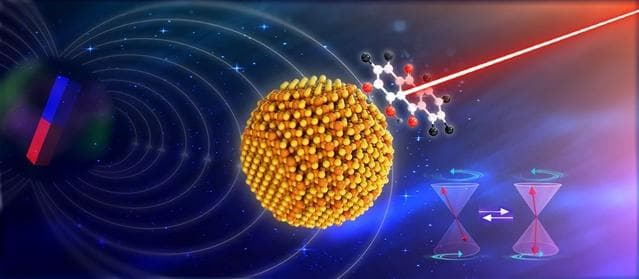 量子点-分子体系三线态光化学过程的量子相干调控