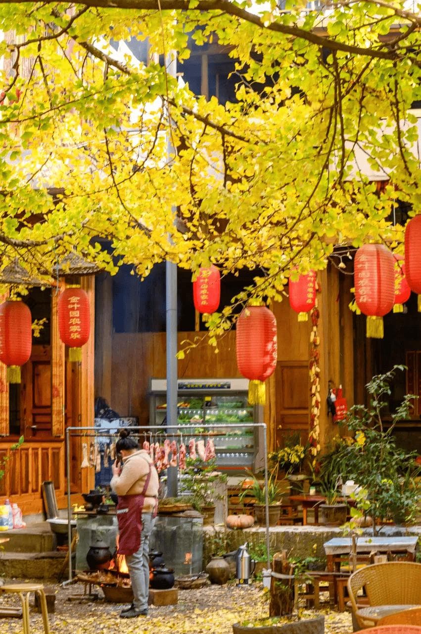 从合肥到昆明：精选六大城市的养老新选择