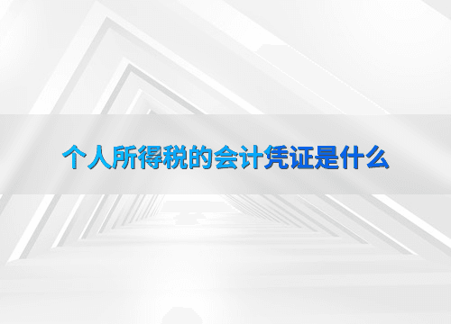 个人所得税的会计凭证是什么