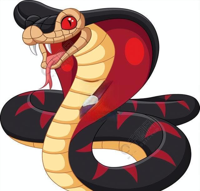 菜花蛇为何是百蛇之王？揭秘这种无毒却能征服毒蛇的王者