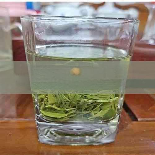 松针茶可以和茶叶一起泡吗：功效与泡法探究