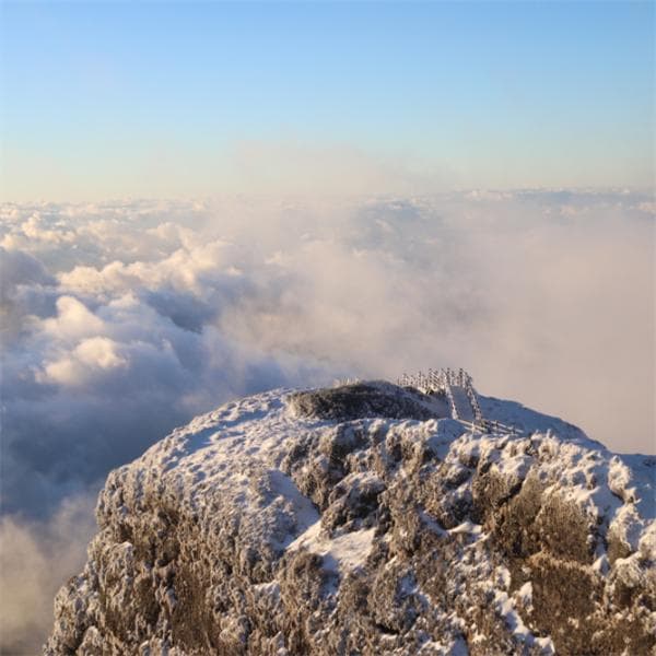 【早安云南·云游】在轿子山，感受四季不同的浪漫奇境