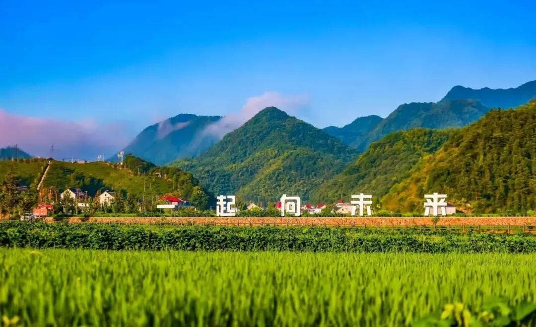 农村合作社在乡村振兴中的作用