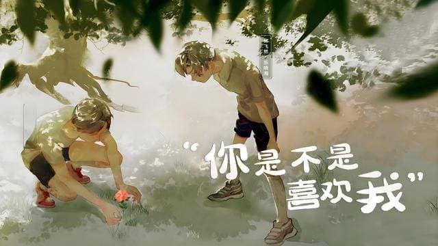 十大非常好看的纯爱流小说，互撩互宠，温馨治愈