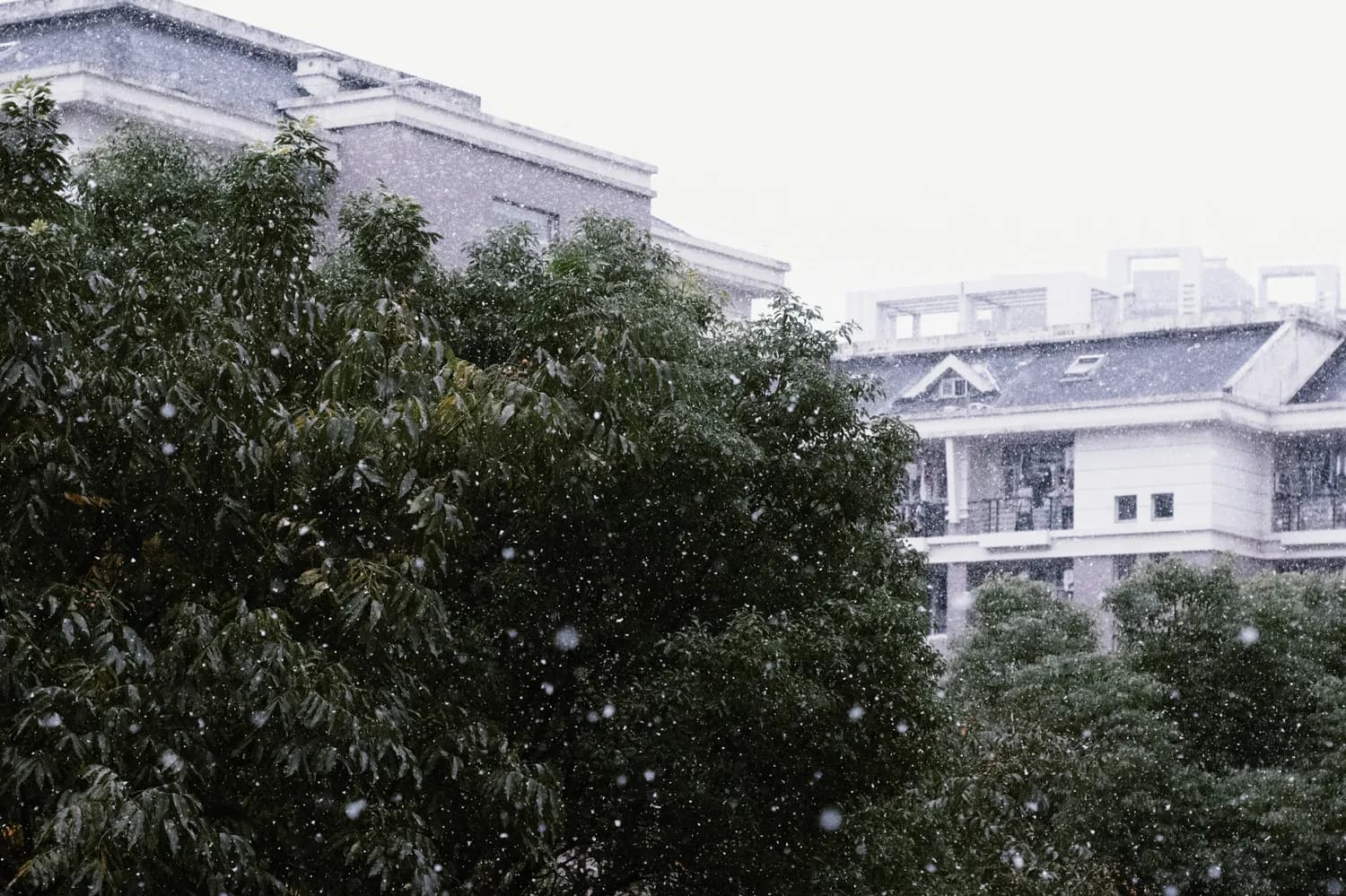 苏州寒潮来袭！首场降雪将至，这些出行和生活建议请收好