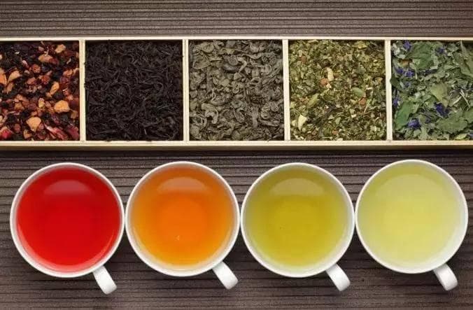 专家解答：20个茶友最关心的茶叶问题