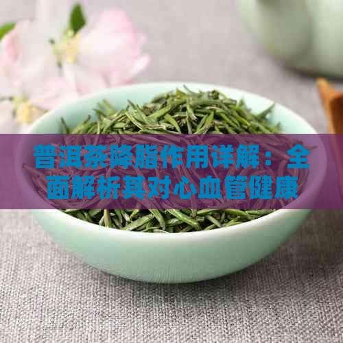 普洱茶降脂作用详解：全面解析其对心血管健康的益处与饮用指南
