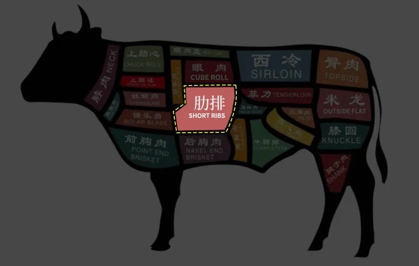 牛肉部位解析丨肋排——风味浓郁的烧肉首选