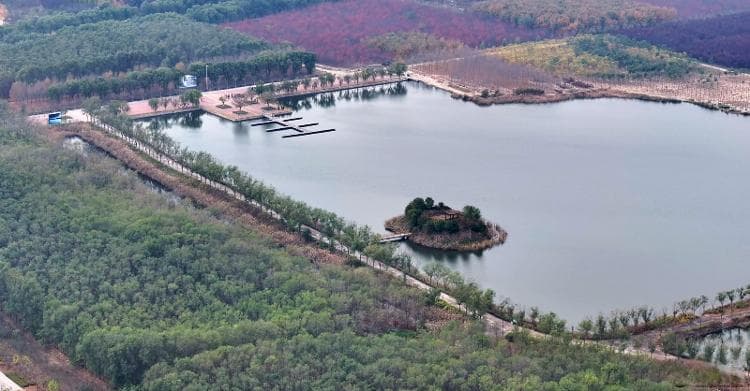 龙堌镇乡村振兴实践：产业兴旺、生态宜居、乡风文明