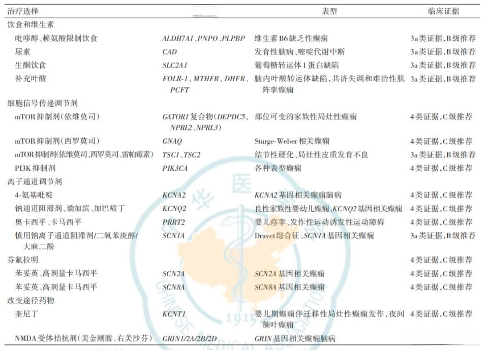 遗传性癫痫的诊断及治疗