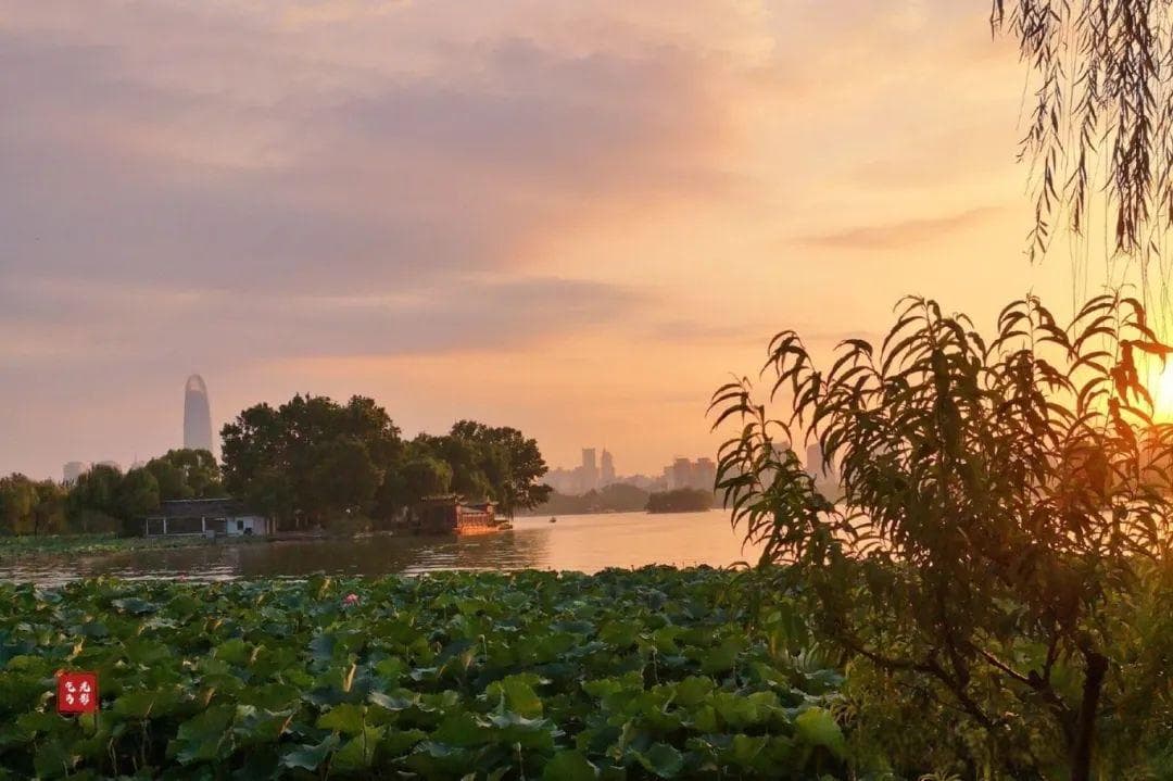 落日熔金 大明湖夕阳下的诗意画卷