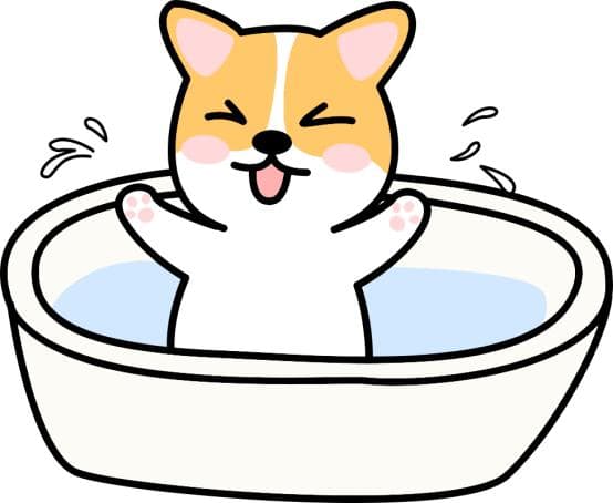 狗狗身上的跳蚤怎么去除？铲屎官小白必看指南