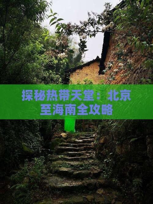 北京至海南全攻略：三种交通方式与多条精选路线详解