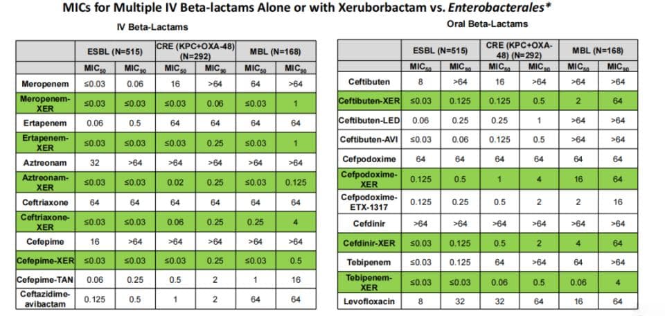 Xeruborbactam：一种用于治疗耐药革兰阴性菌感染的新型双重抑制剂