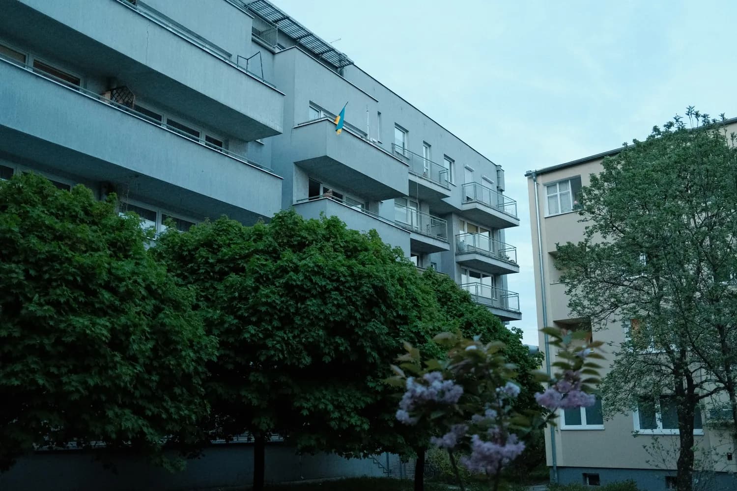 肠胃感冒必备神器：藿香正气胶囊