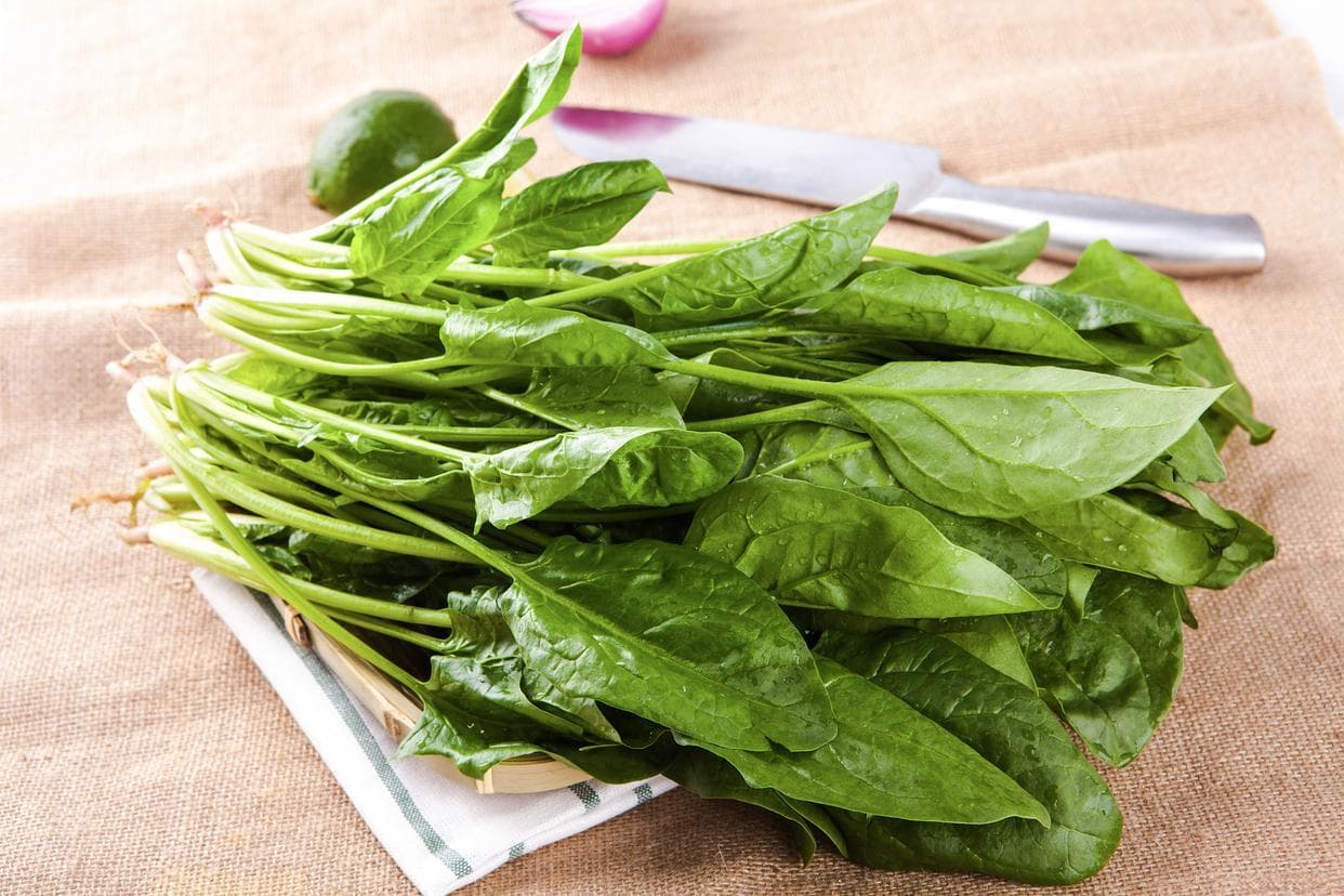 黑眼圈的秘密：哪些食物可以帮助淡化？